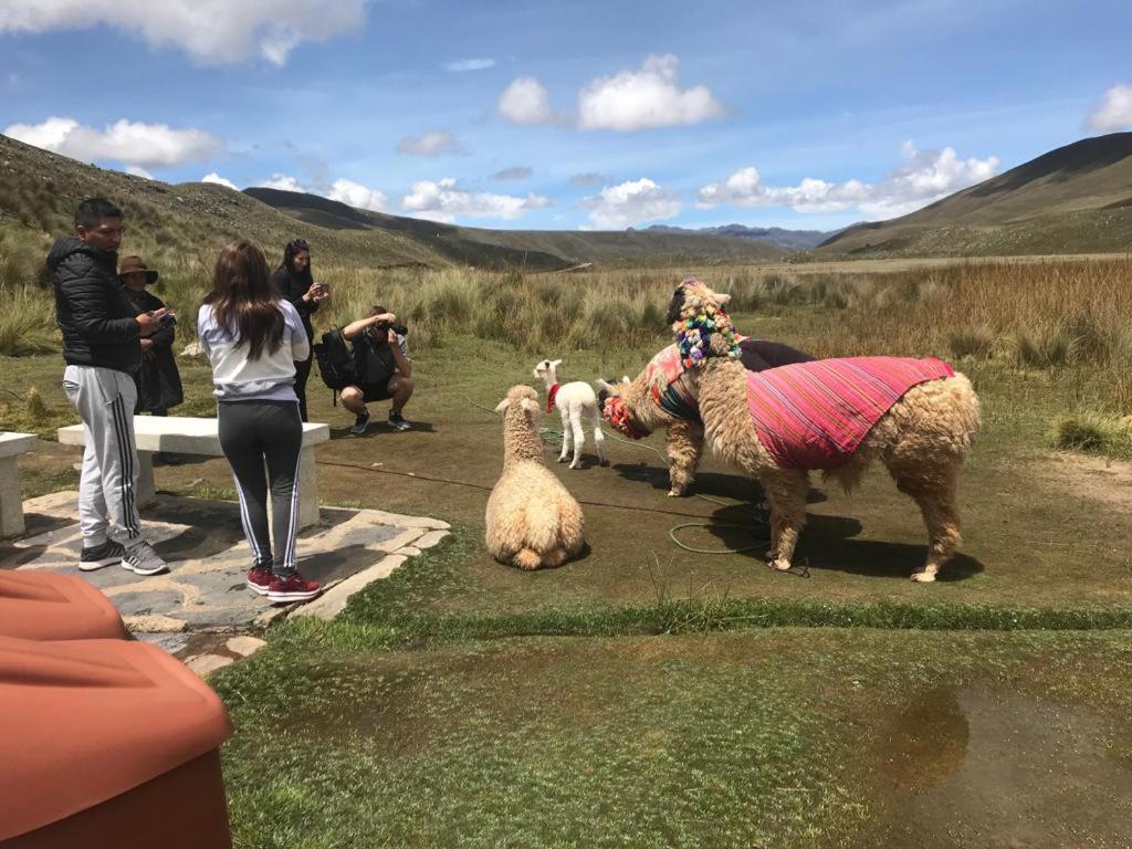 Amazing Huaraz Bed & Breakfast ภายนอก รูปภาพ
