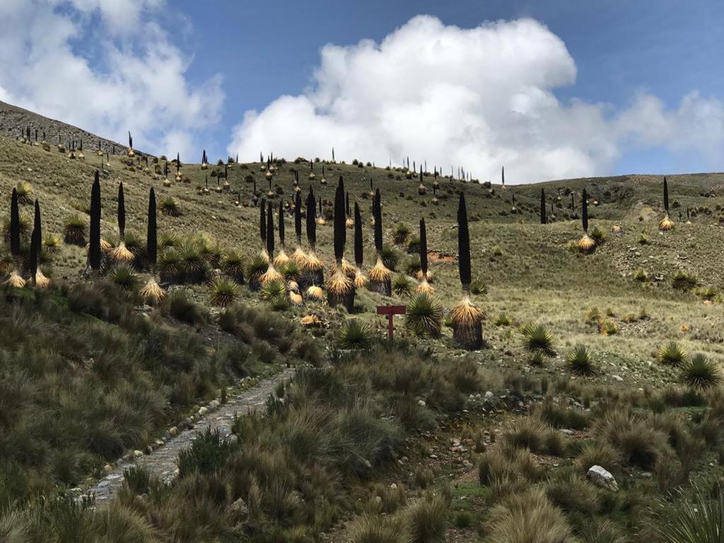 Amazing Huaraz Bed & Breakfast ภายนอก รูปภาพ