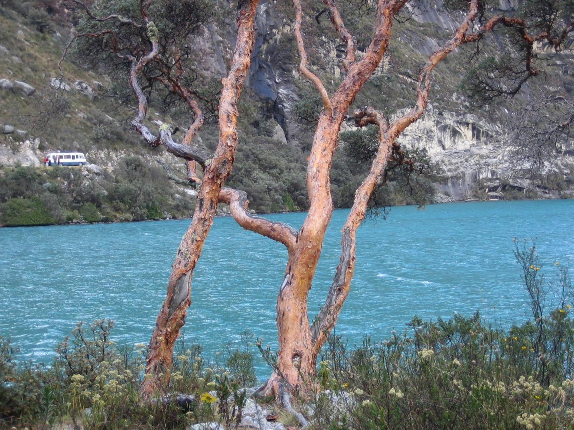 Amazing Huaraz Bed & Breakfast ภายนอก รูปภาพ